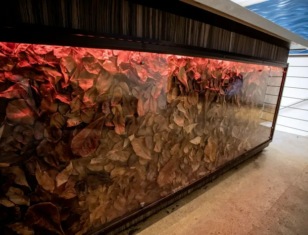 Ciqala Suites Hotel hotel detail image 3