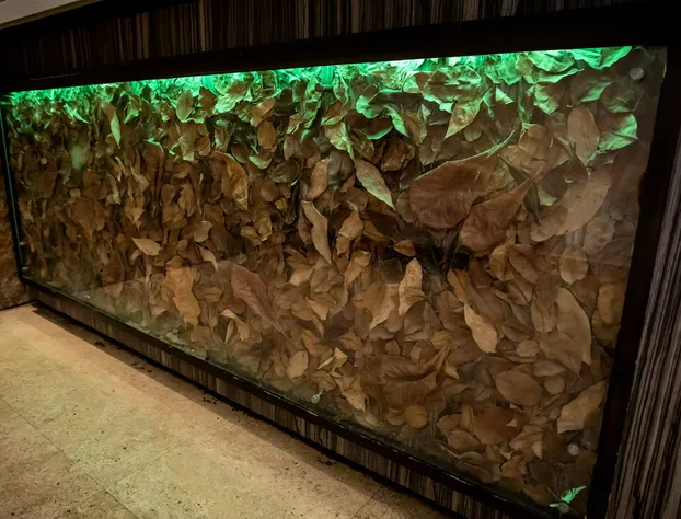 Ciqala Suites Hotel hotel detail image 4