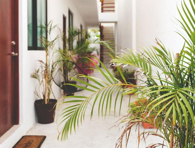Great Villas Studios & Residences - The Kahlo hotel detail image 3