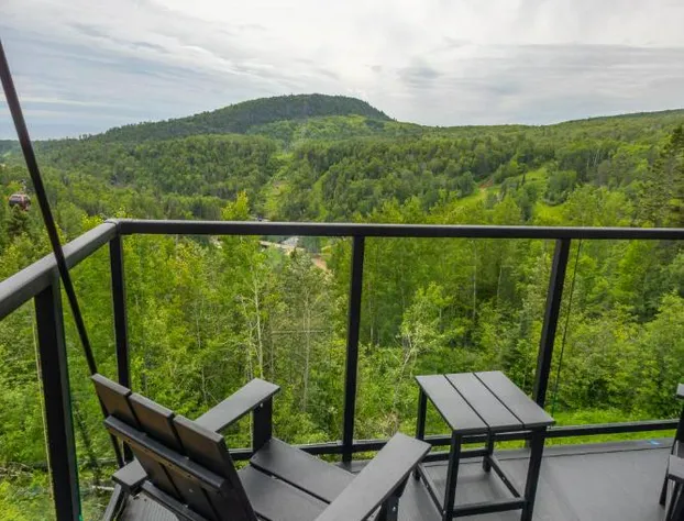 Eagle Ridge Resort at Lutsen Mountains hotel detail image 2