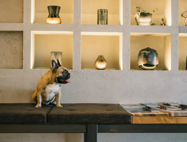 the DOUGLAS, Autograph Collection hotel detail image 4