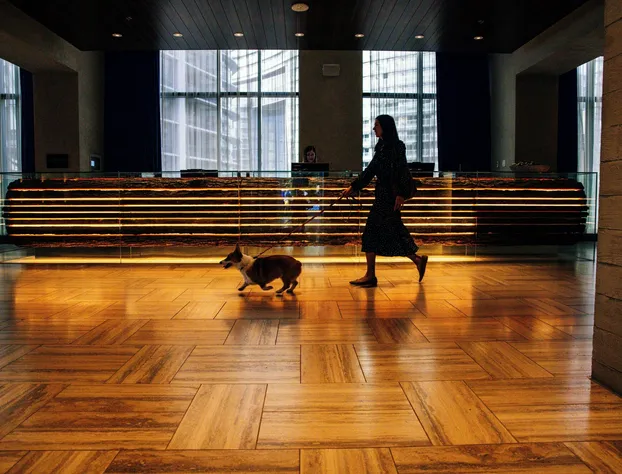 the DOUGLAS, Autograph Collection hotel detail image 4