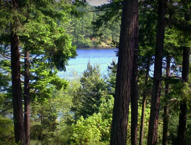 Inn to the Woods B&B hotel detail image 2