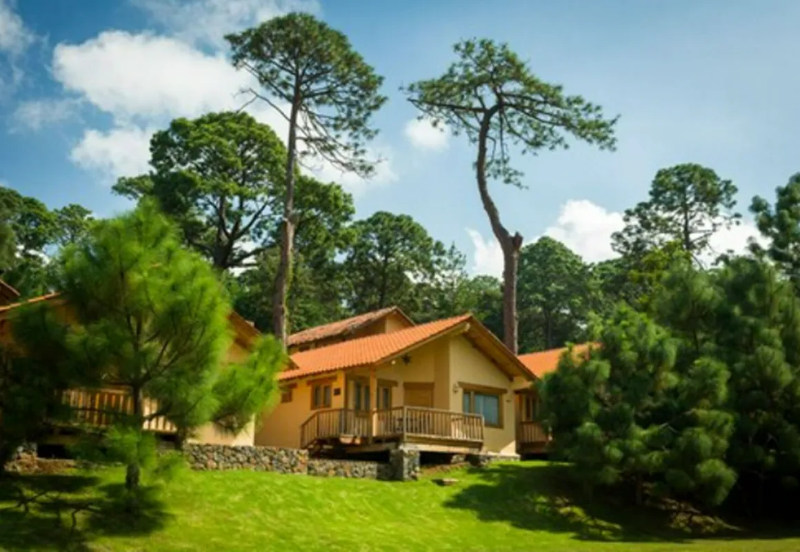 Bosque Escondido hotel hero