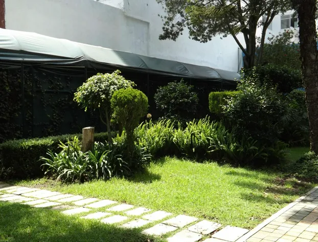 Hotel Pedregal Palace hotel detail image 3