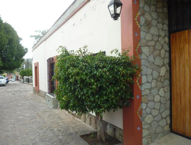 Casa Arnel hotel detail image 1