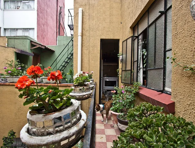 Condechi Bed & Breakfast hotel detail image 1