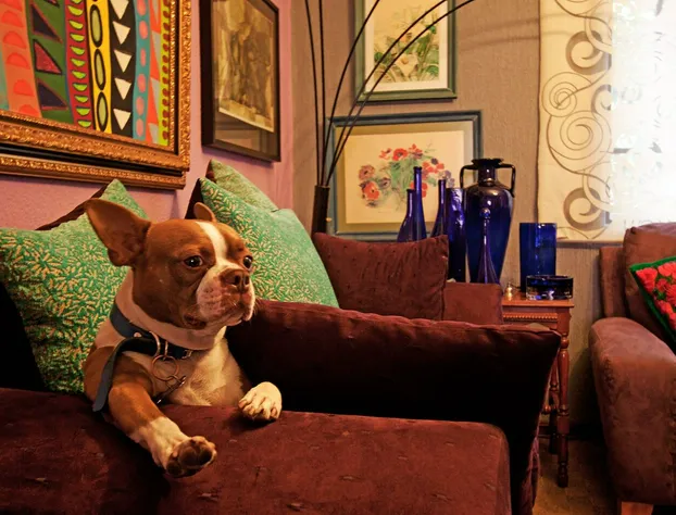 Condechi Bed & Breakfast hotel detail image 2