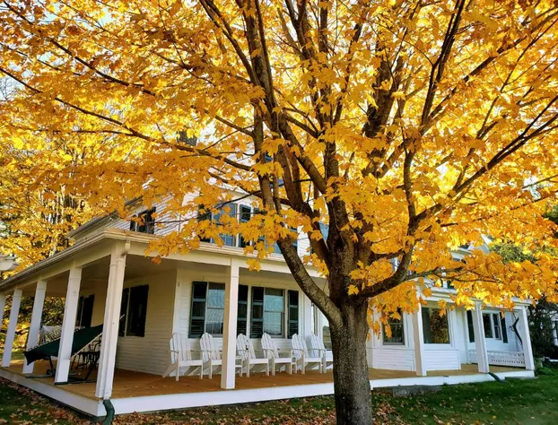 The Maguire House Bed & Breakfast hotel detail image 2
