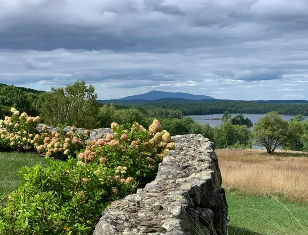 The Maguire House Bed & Breakfast hotel detail image 4