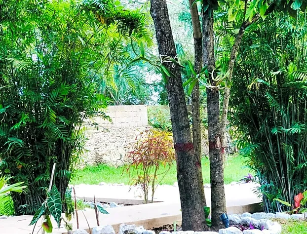 Tierra Maya Hotel Spa & Sanctuary hotel detail image 2