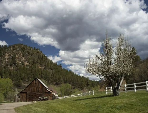Antlers on the Creek Bed & Breakfast hotel detail image 1