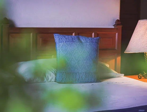 Hotel Molino de la Alborada hotel detail image 3