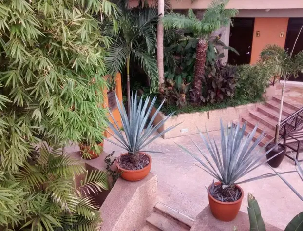 Hotel San Luis Lindavista hotel detail image 3