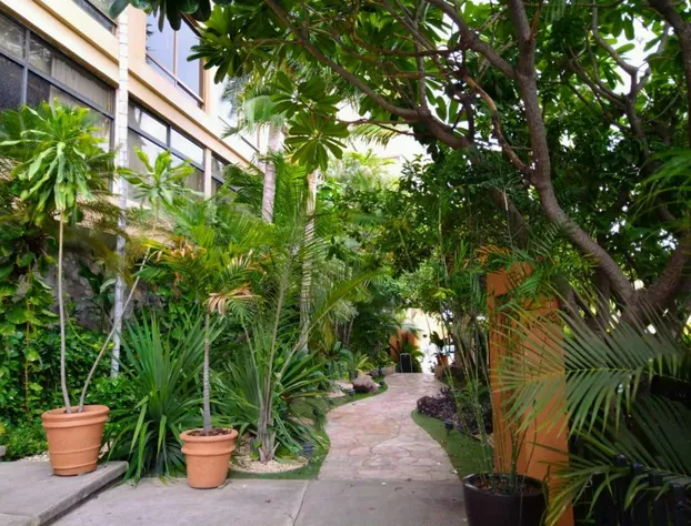 Hotel San Luis Lindavista hotel detail image 4