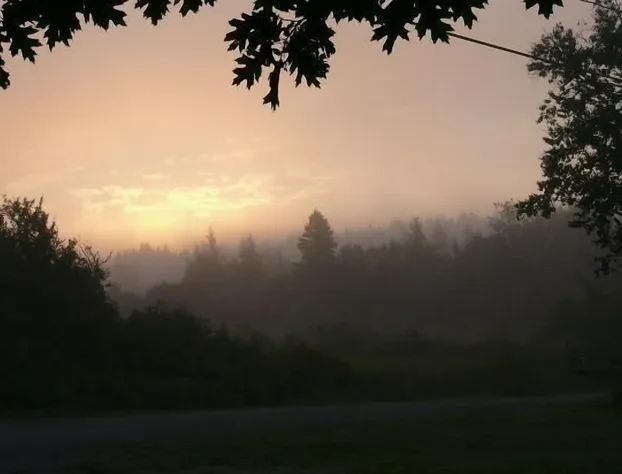 Florentine Manor hotel detail image 1