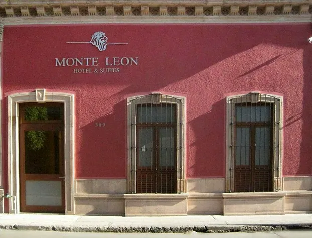 Monte Leon Hotel Boutique & Galeria hotel detail image 3