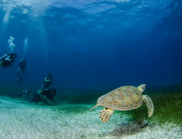 Akumal Natura hotel detail image 3