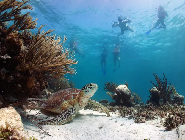Akumal Natura hotel detail image 4