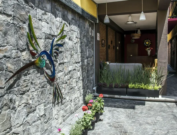 Hotel Casa Aurora hotel detail image 3