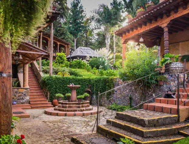 Eco Hotel Ixhi hotel detail image 1