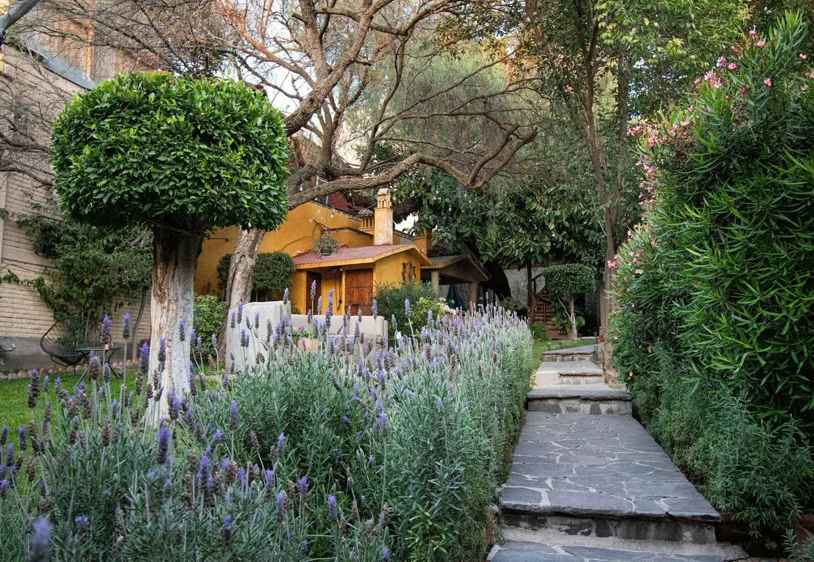 Casa Maria Elena hotel hero