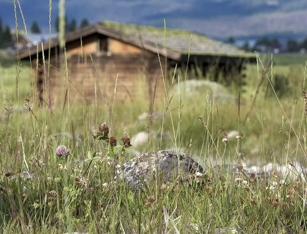 Mountain Village Lodge hotel detail image 2