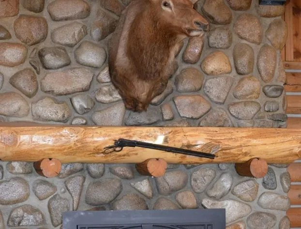 Mountain Village Lodge hotel detail image 3