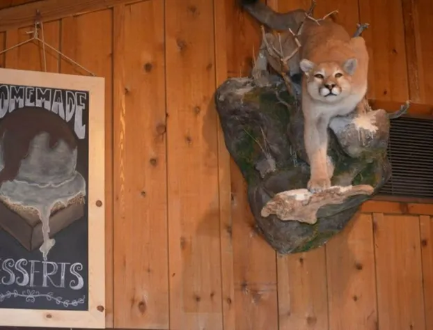 Mountain Village Lodge hotel detail image 4