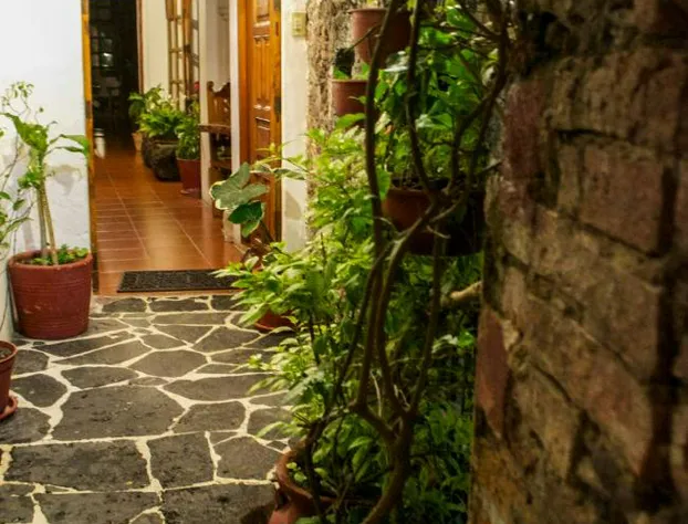 Hotel Mi Casita hotel detail image 2