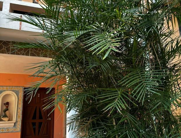 Francis Arlene - Adults Only hotel detail image 4