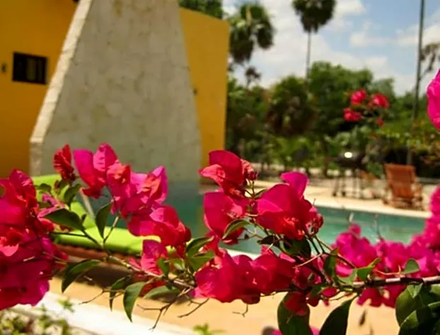 Margarita del Sol Costa Maya hotel detail image 2