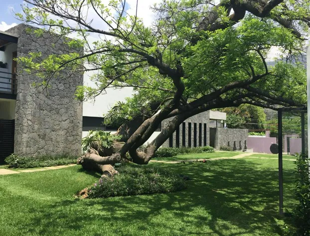 Hotel Boutique Casa Fernanda - Adults only hotel detail image 4