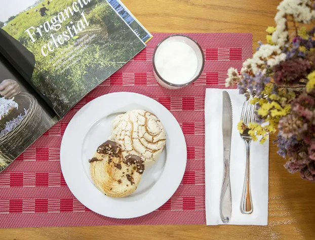 Suites Coben Apartamentos Amueblados hotel detail image 4