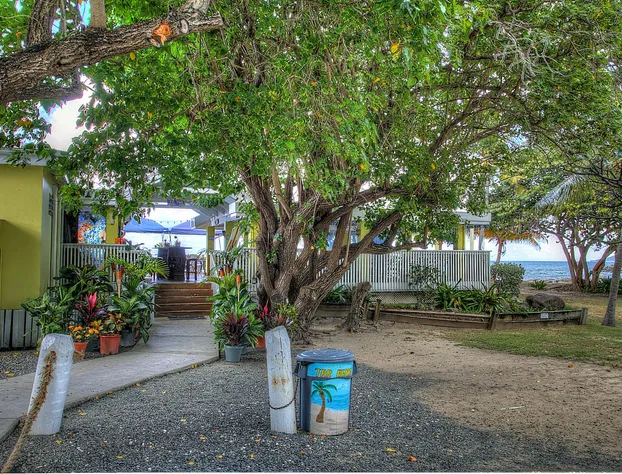 Tamarind Reef Resort Spa & Marina hotel detail image 3