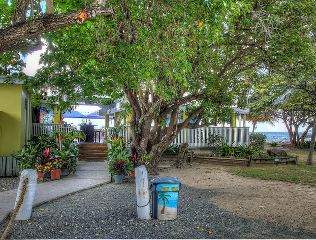 Tamarind Reef Resort Spa & Marina hotel detail image 3