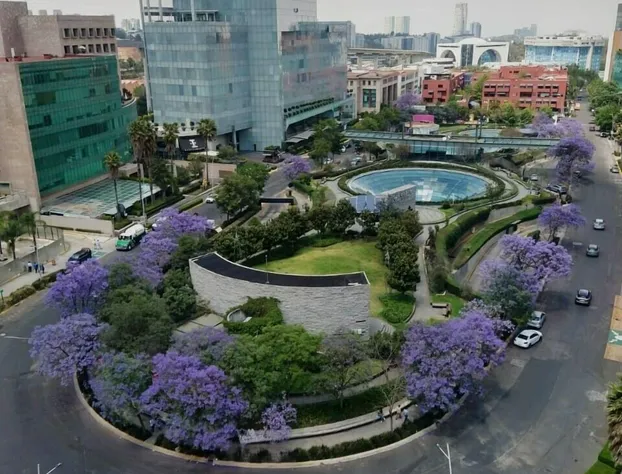 Holiday Inn México Santa Fe by IHG hotel detail image 4