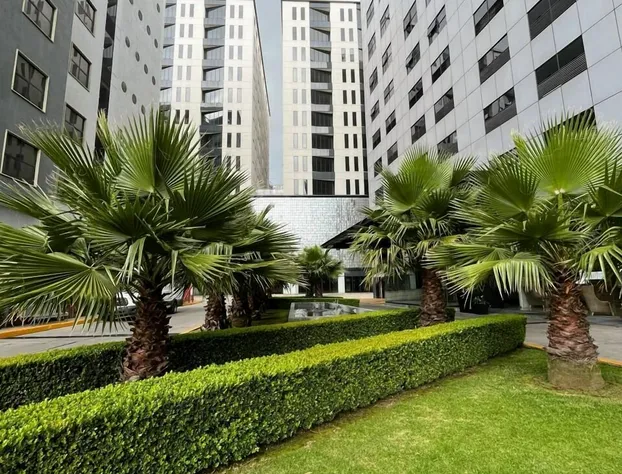 Holiday Inn México Santa Fe by IHG hotel detail image 2