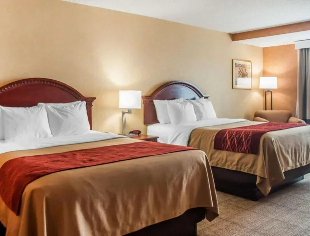 Quality Inn Near Walden Galleria Mall hotel detail image 3