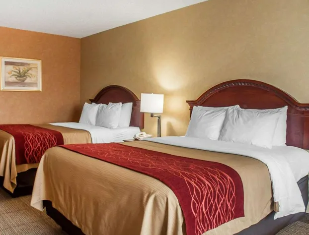 Quality Inn Near Walden Galleria Mall hotel detail image 4