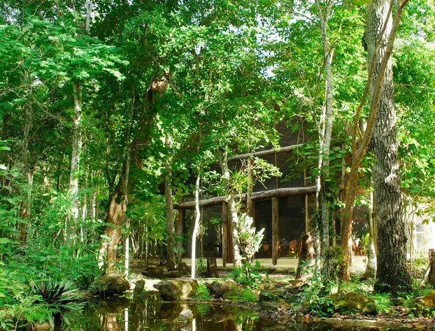 Hotel Puerta Calakmul hotel detail image 1