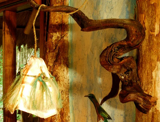 Hotel Puerta Calakmul hotel detail image 1