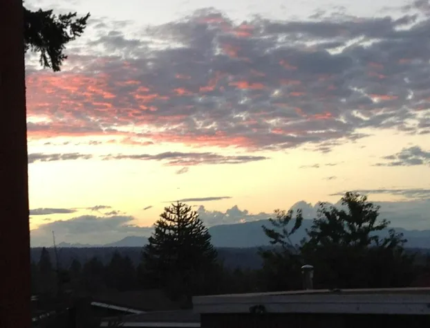 Money Pennies B&B hotel detail image 4