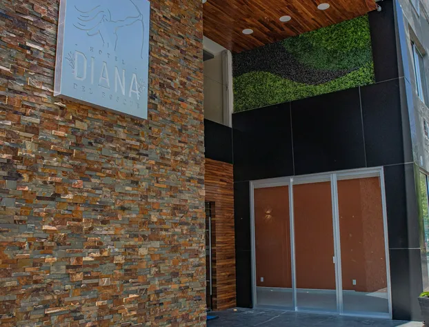 Hotel Diana del Bosque by DOT Urban hotel detail image 1