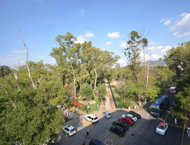 Hotel Diana del Bosque by DOT Urban hotel detail image 3