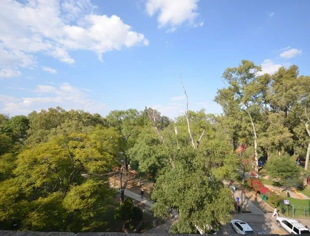 Hotel Diana del Bosque by DOT Urban hotel detail image 4