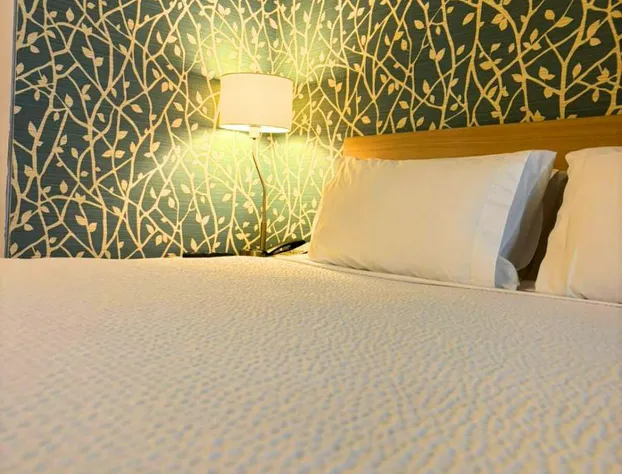 Fairfield Inn & Suites by Marriott Villahermosa Tabasco hotel detail image 3