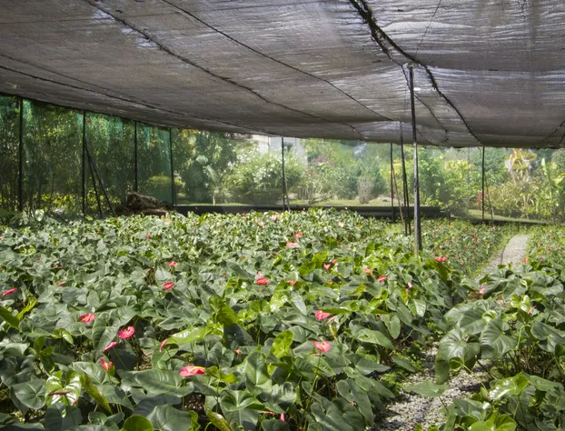 Hotel Posada Loma hotel detail image 2