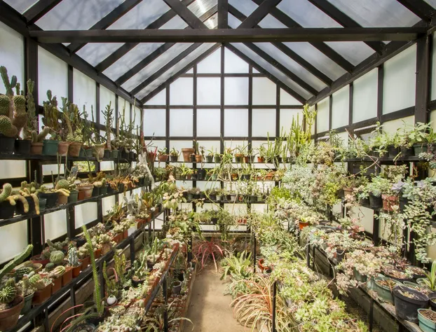 Hotel Posada Loma hotel detail image 4