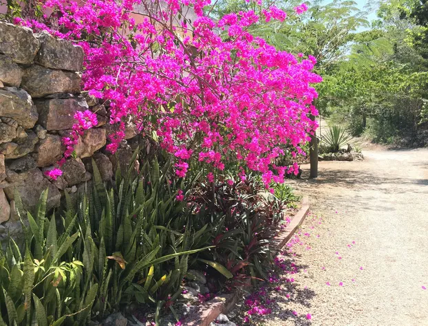 Hotel Okaan hotel detail image 1